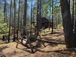 Loveseat Swing in Forest Below Lodge